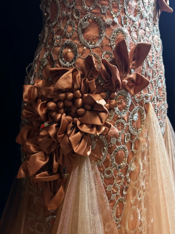 Pretty Orange Prom Dress Sheath Tulle Long Evening Dress DP08298