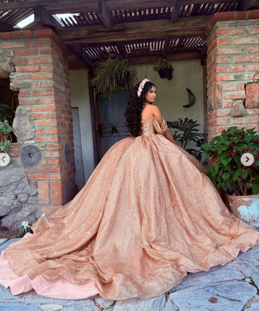 Modest Ball Gown Off-the-shoulder Gold Glitter Tulle Applique Long Quinceanera Dress Formal Gowns Vestido De 15 Anos Sweet 16 Dress DP2757