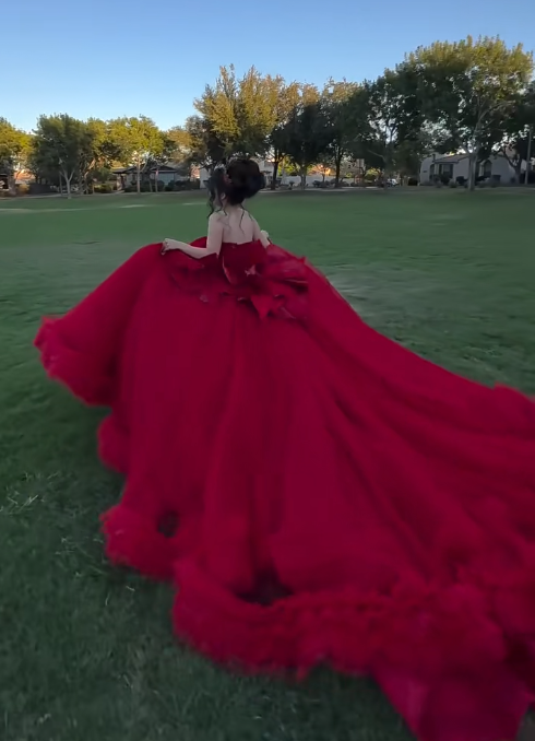 Elegant Ball Gown Sweetheart Neck Burgundy Tulle Beaded Applique Long Quinceanera Dress Formal Gowns Vestido De 15 Anos Sweet 16 Dress DP2841