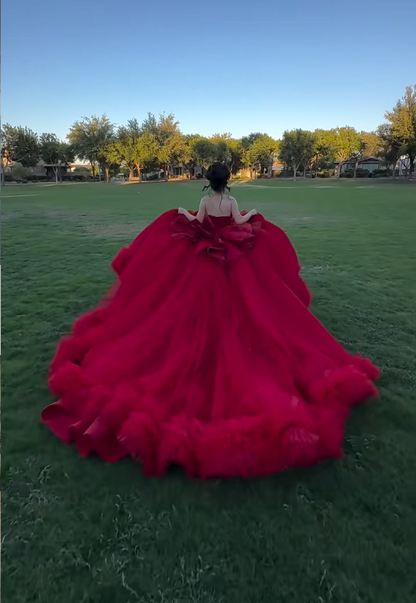 Elegant Ball Gown Sweetheart Neck Burgundy Tulle Beaded Applique Long Quinceanera Dress Formal Gowns Vestido De 15 Anos Sweet 16 Dress DP2841
