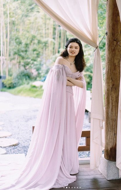 Elegant Off-the-Shoulder Sheath Chiffon Long Prom Dresses, Light Pink Formal Evening Dresses DP3120