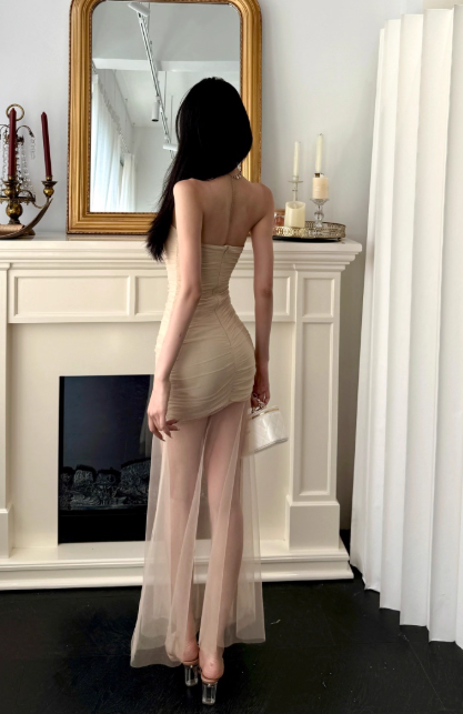 Sexy Off-the-shoulder Sheath Tulle Long Prom Dresses, Light Champagne Formal Evening Dresses DP3133