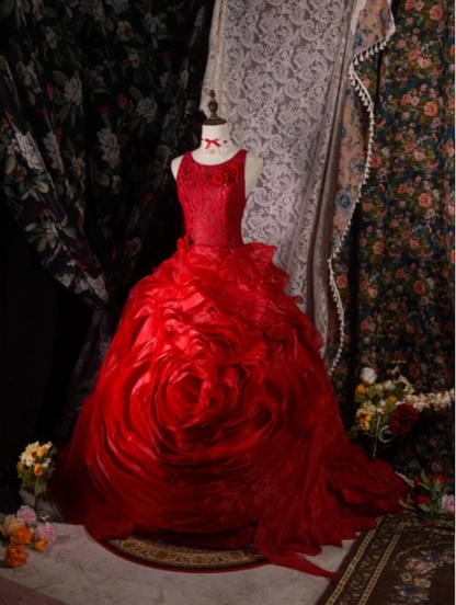 Fairy Jewel Ball Gown Tulle Long Prom Dresses Burgundy Quinceanera Dresses Sweet 16 Dress DP3749