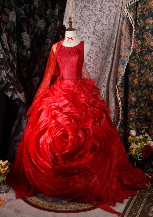 Fairy Jewel Ball Gown Tulle Long Prom Dresses Burgundy Quinceanera Dresses Sweet 16 Dress DP3749