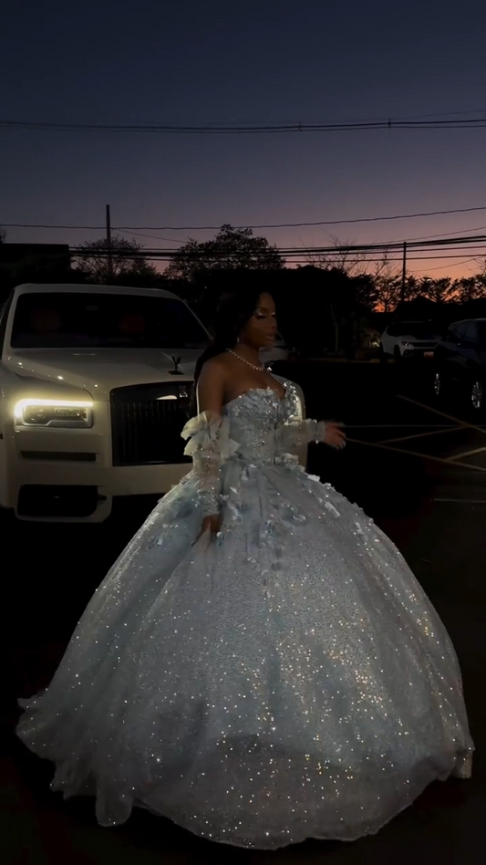 Cute Off-the-shoulder Ball Gown Tulle Long Prom Dresses Applique Blue Quinceanera Dresses Sweet 16 Dresses DP3901