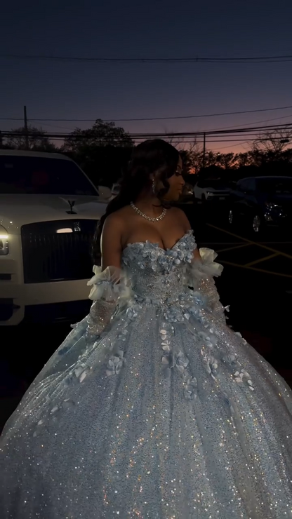 Cute Off-the-shoulder Ball Gown Tulle Long Prom Dresses Applique Blue Quinceanera Dresses Sweet 16 Dresses DP3901