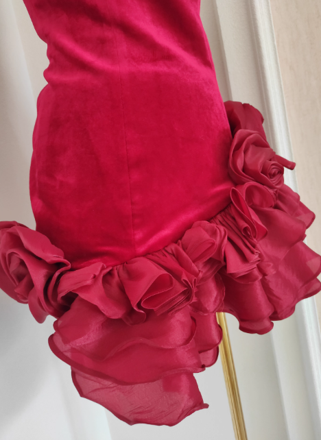 Elegant Sheath Red Short Prom Dresses Velvet Sleeveless Red Birthday Dresses DP3956