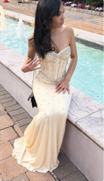 Sexy V-neck Sheath Beige Long Prom Dresses Chiffon Rhinestone Beige Evening Dresses DP3984