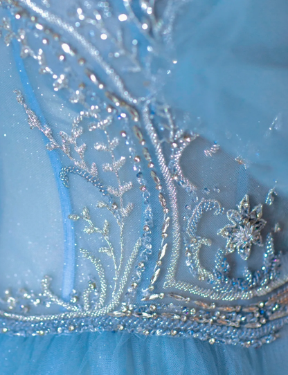 Pretty Ball Gown Strapless Blue Tulle l Sleeveless Long Prom Dresses Evening Dresses DP520