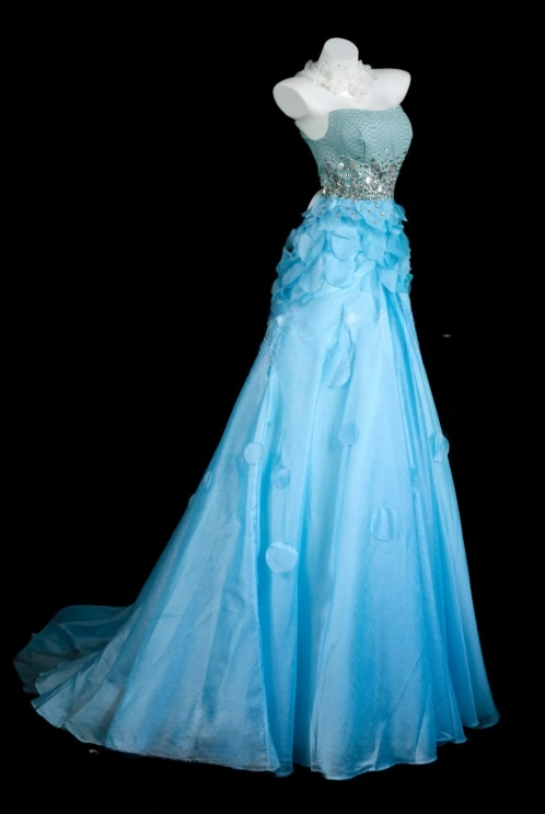 Chic Blue Prom Dress Tulle Strapless A-Line Evening Dress S1071