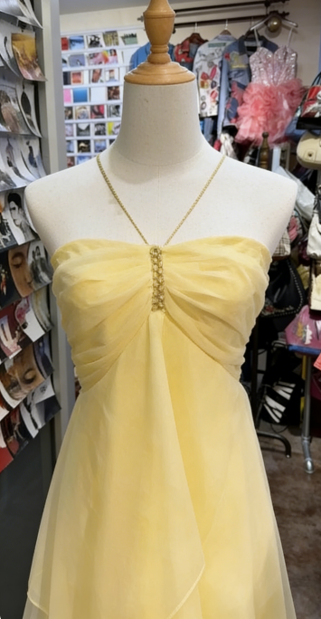 Vintage A-Linie Neckholder Gelb Langes Geburtstagskleid Partykleid Geburtstagsoutfit DP956
